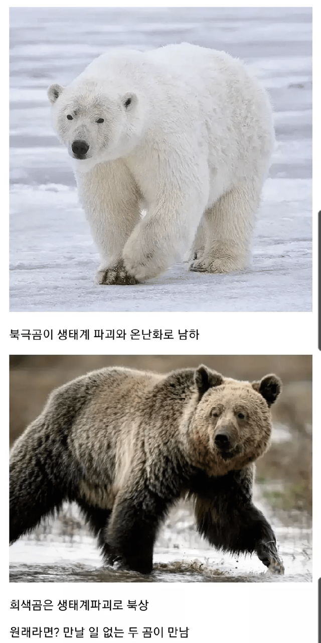 의외로 실존하는 무시무시한 생명체..
