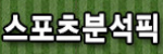 스포츠 분석픽