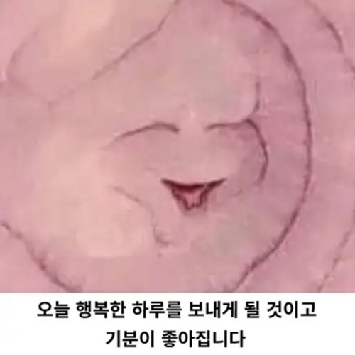 행복한 양파 행복한 양파