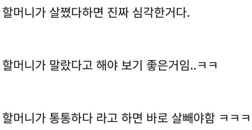 할머니 냥이 ㅋ 할머니 냥이 ㅋ