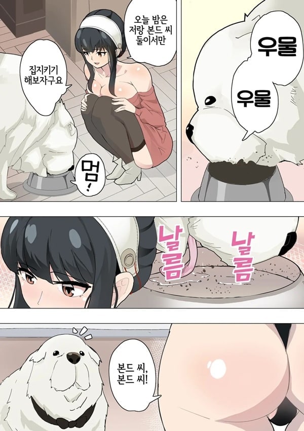개도X패밀리 개도X패밀리