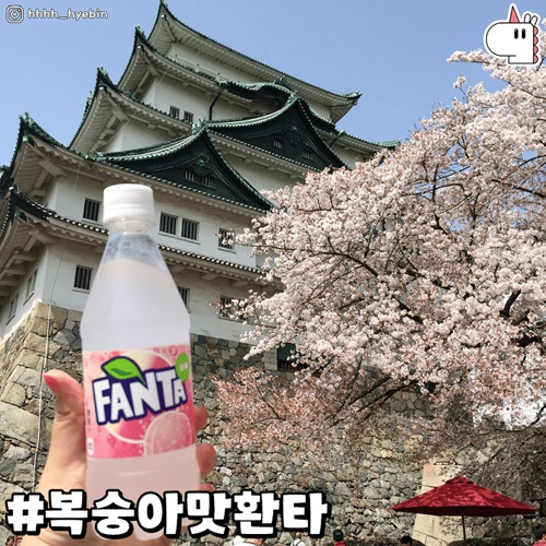 우리나라도 팔면 좋겠다 우리나라도 팔면 좋겠다