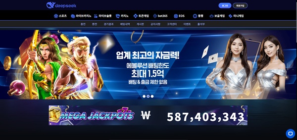 딥시크 딥시크