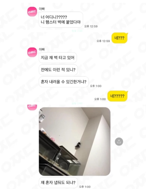 내일은 차도 운전하겠네 ㅎ 내일은 차도 운전하겠네 ㅎ