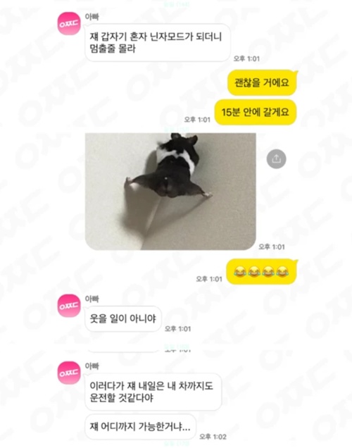 내일은 차도 운전하겠네 ㅎ 내일은 차도 운전하겠네 ㅎ