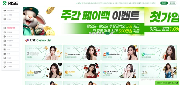 라이즈 라이즈