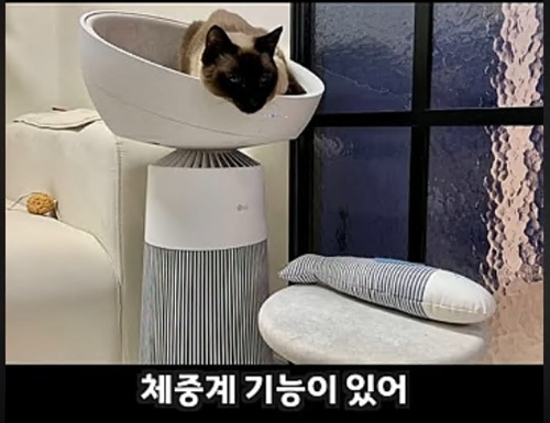공기청정기 + 캣타워 가격 110만원 공기청정기 + 캣타워 가격 110만원