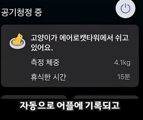 공기청정기 + 캣타워 가격 110만원 공기청정기 + 캣타워 가격 110만원