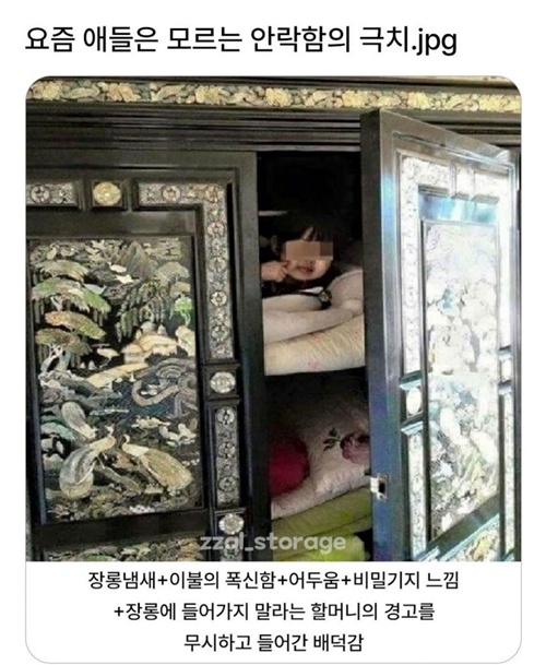 안락함의 극치 안락함의 극치