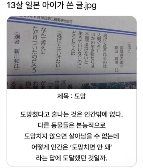 대박 맞는말이네 대박 맞는말이네