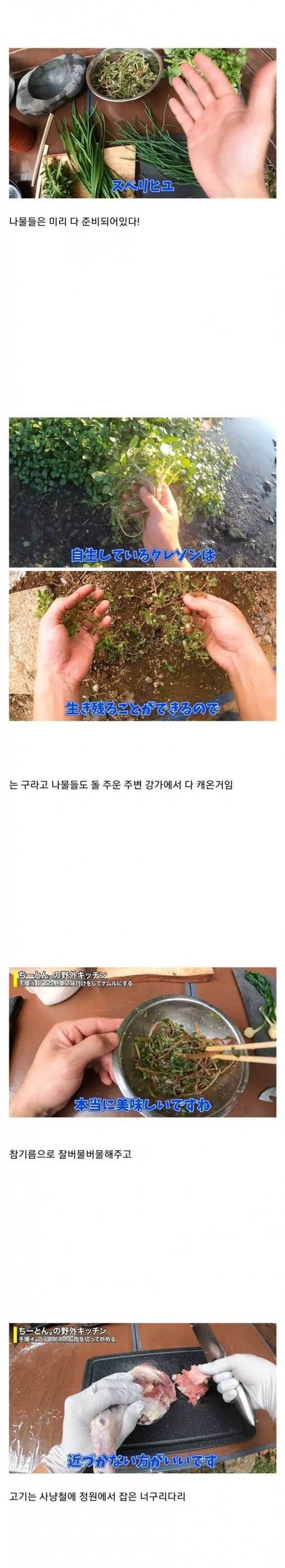 돌쏱 찐이네 돌쏱 찐이네