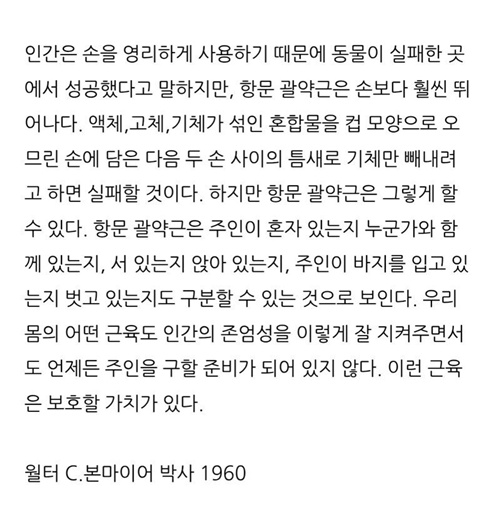 ㅎㅎㅎ 그러네요 ㅎㅎㅎ 그러네요