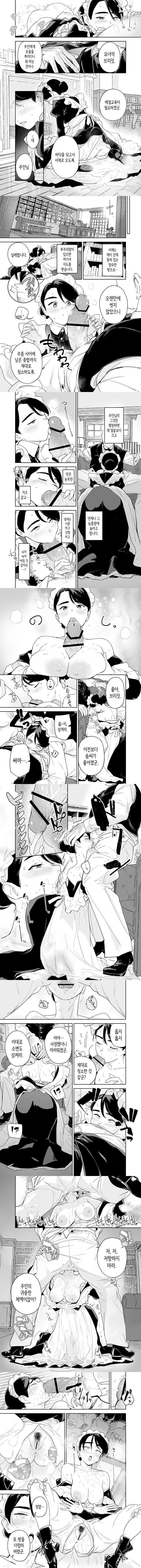 우리 집의 하우스 메이드 브리짓, 성의 봉사 ~난로 청소에서 아기 만들기까지~