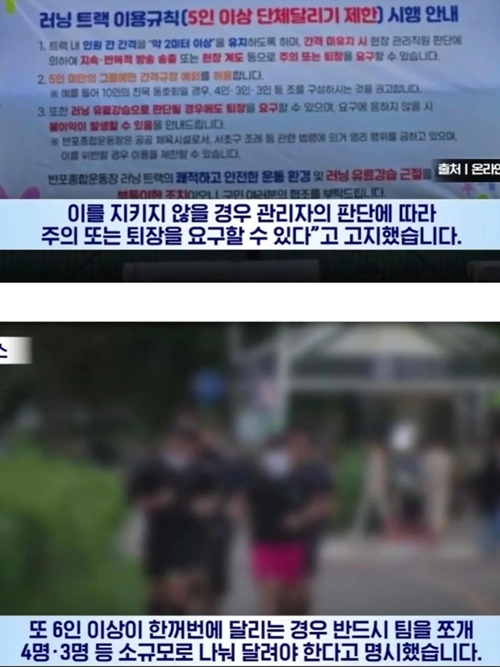 자라니가 사라지니 다른게 나타나네