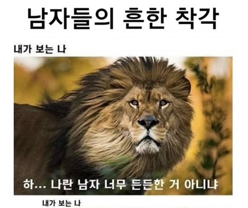 흔한 착각ㅋㅋㅋㅋㅋ