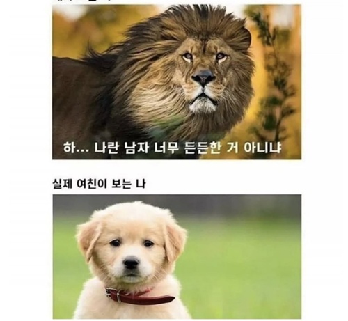 흔한 착각ㅋㅋㅋㅋㅋ
