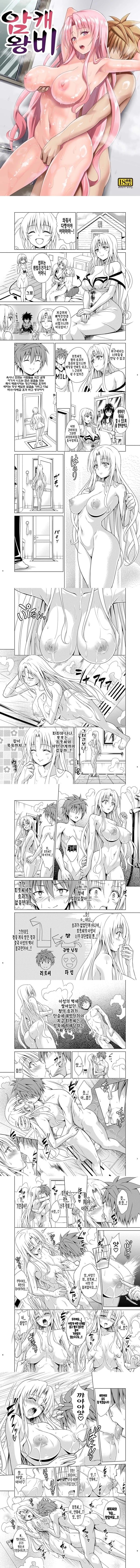 암캐 왕비 암캐 왕비
