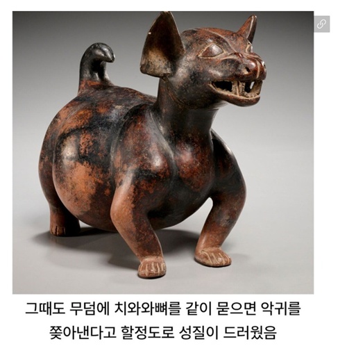 진짜 그런듯