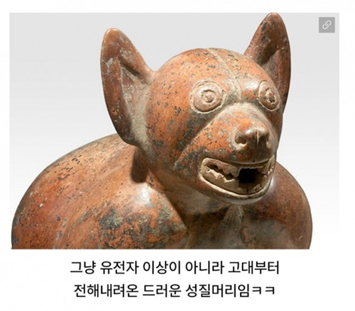 진짜 그런듯