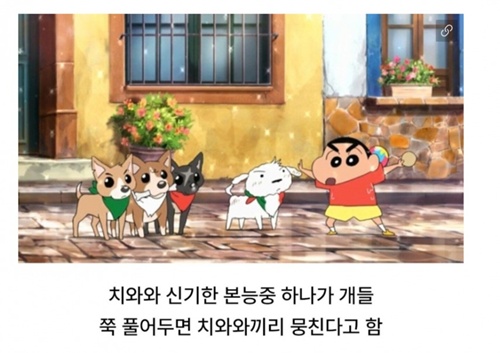 진짜 그런듯