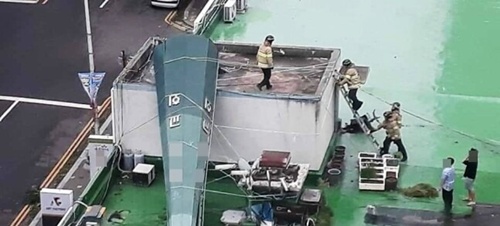 이상하게 이놈의 종교는 정이 안감