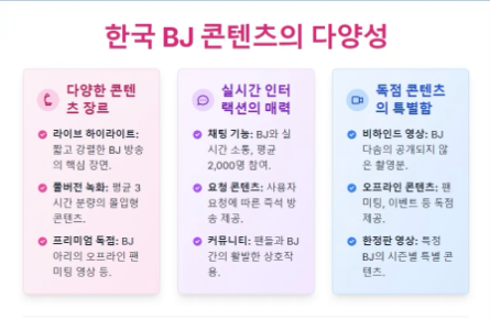 빨간비디오