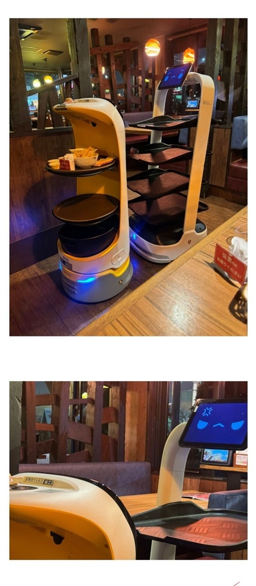 알바전쟁 알바전쟁