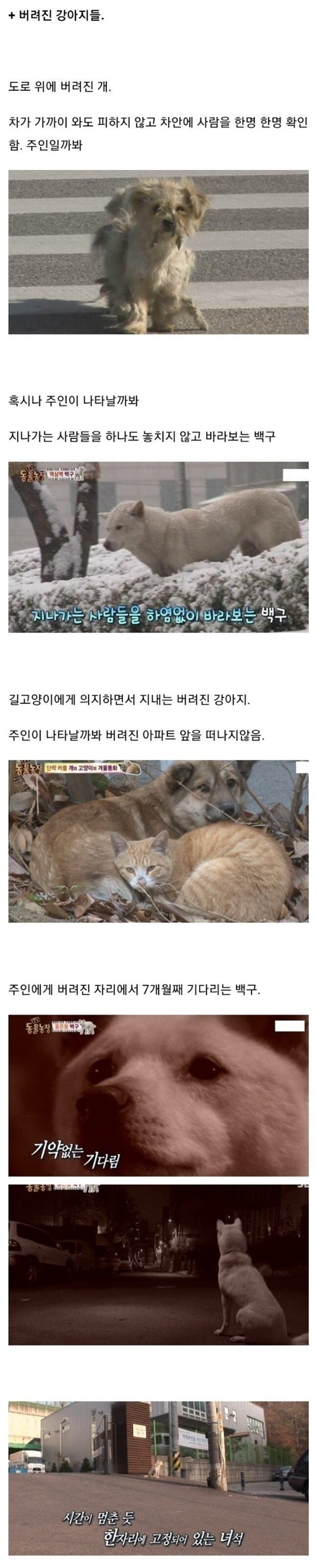 반성해라 인간들아