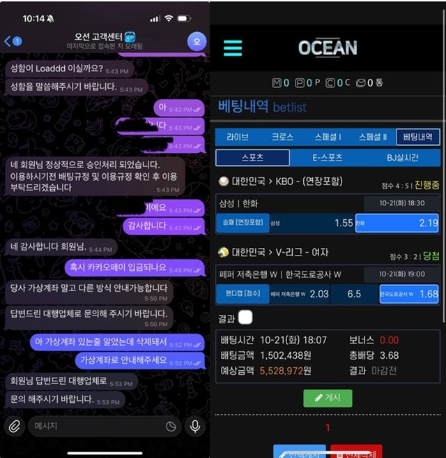 오션뱃 먹튀 확정
