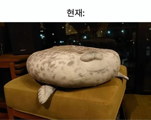 분명한 원인