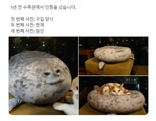 분명한 원인