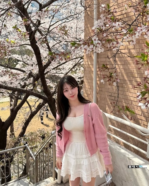 벗꽂구경왔니