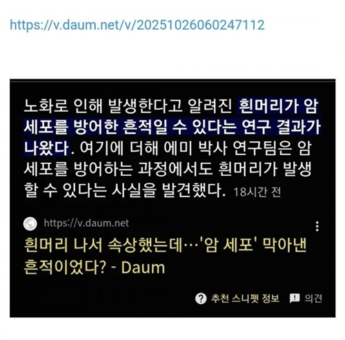 암을 막은 흔적일수도
