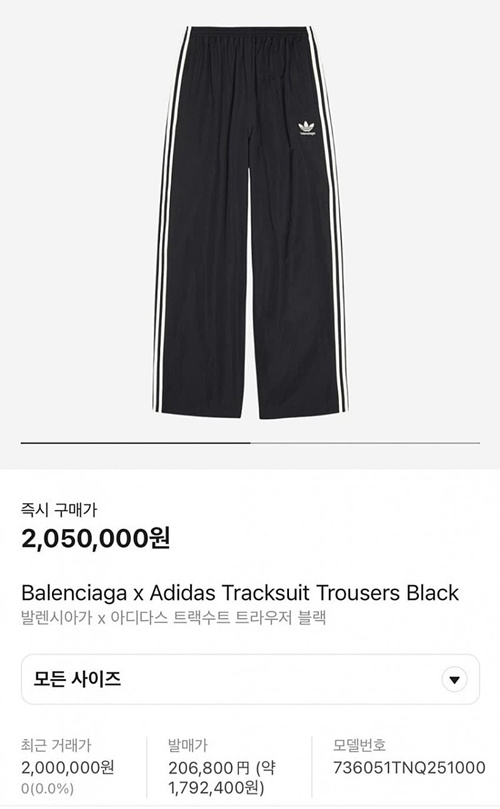 단속 대참사