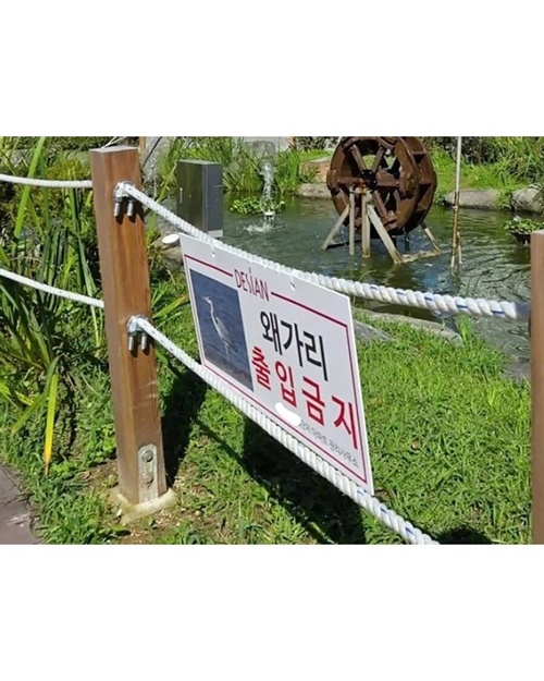 왜가리가 거길 왜 가
