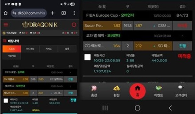 드래곤 먹튀사이트 확정