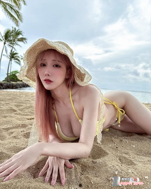 그라비아 대표선수