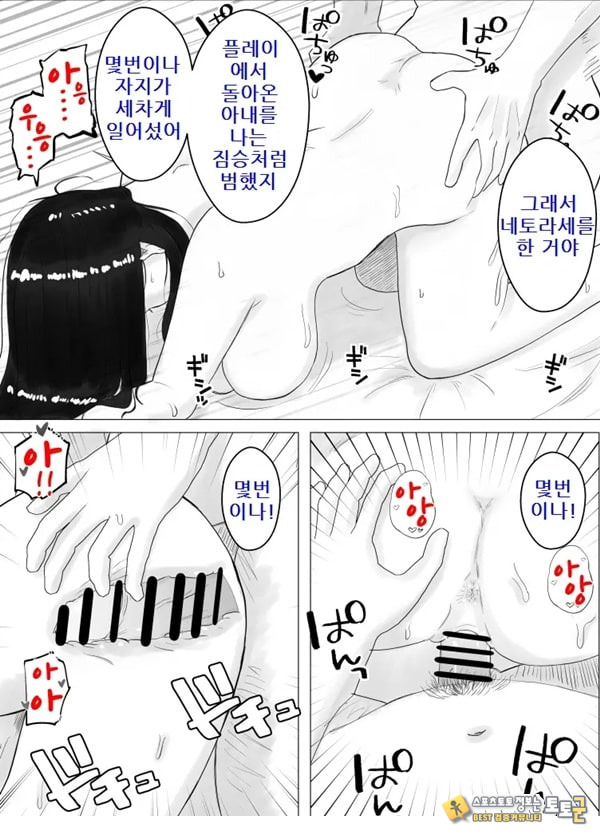 네토라세, 검토해주세요 2 ~불 장난의 댓가~