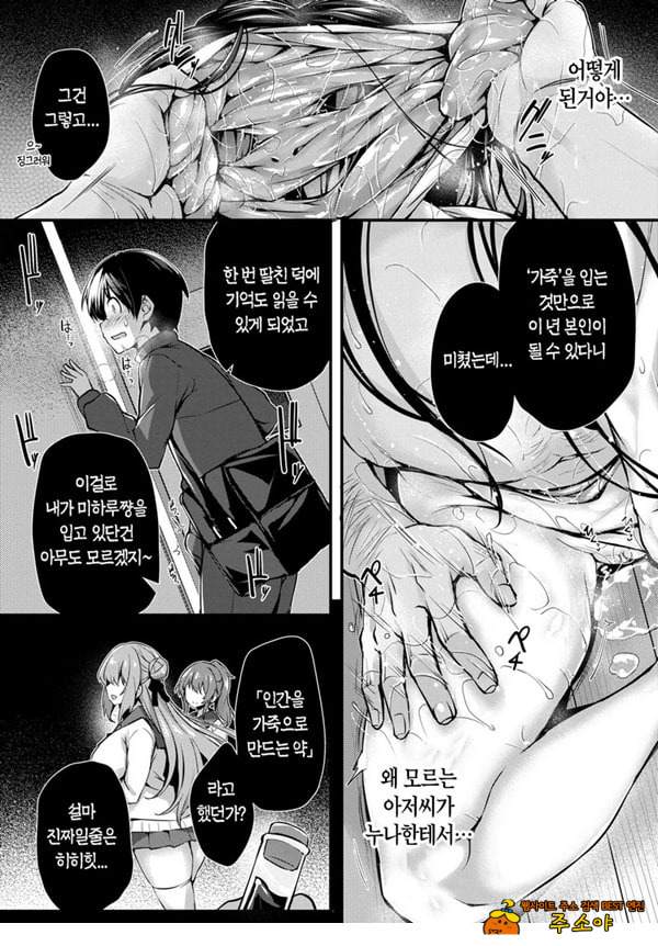 나의 누나