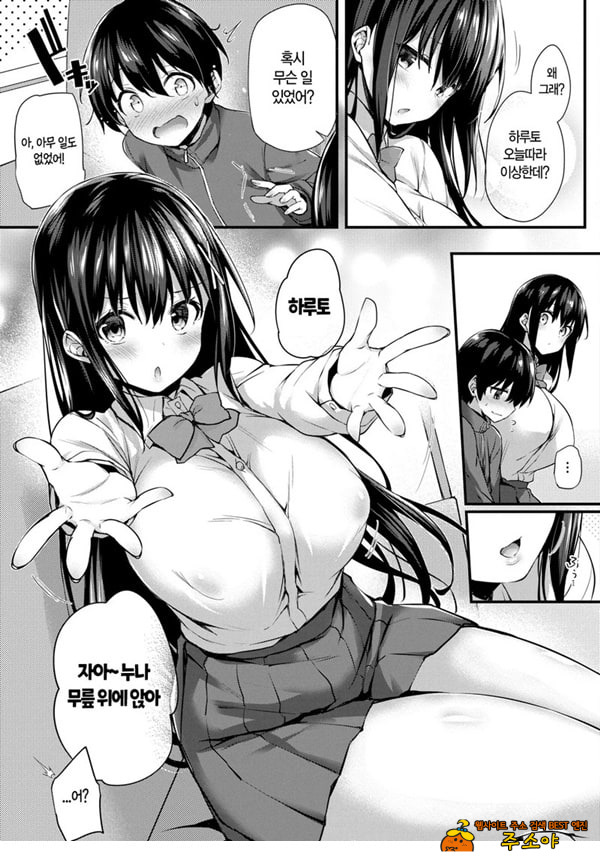 나의 누나