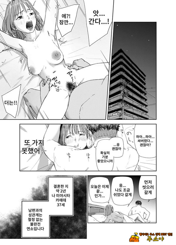 ㅅㅅ방 서비스