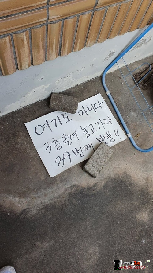 누가이기나 싸움이네