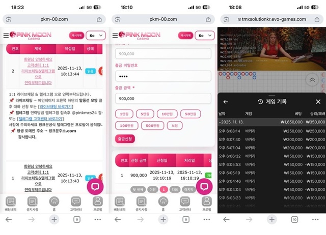 핑크문 카지노 먹튀사이트 확정