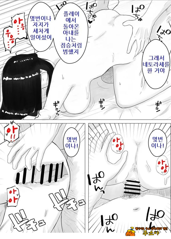 네토라세, 검토해주세요 2 ~불 장난의 댓가~