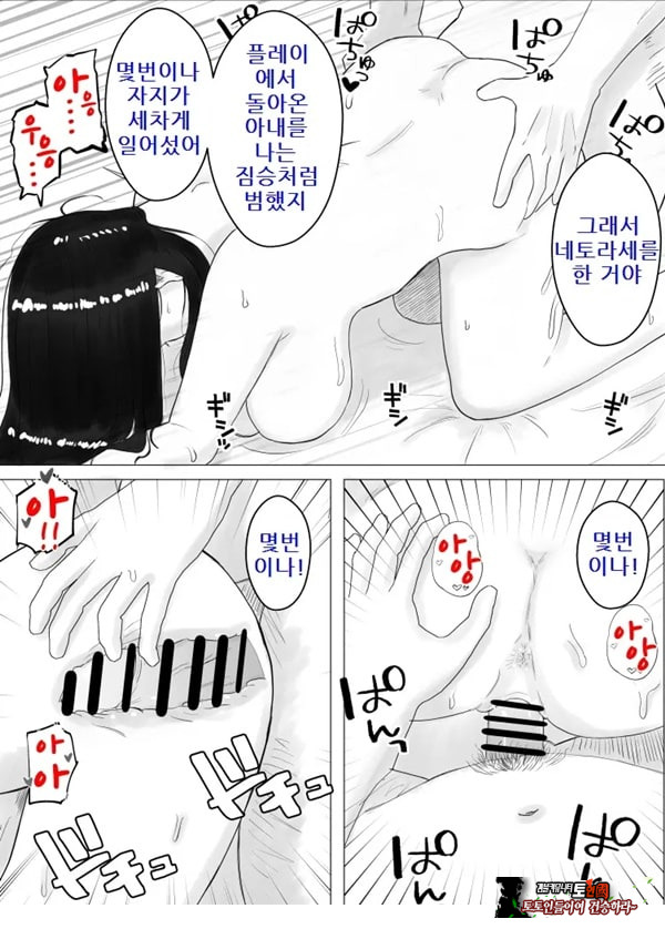 네토라세, 검토해주세요 2 ~불 장난의 댓가~