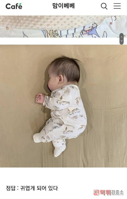 너무너무 귀엽다
