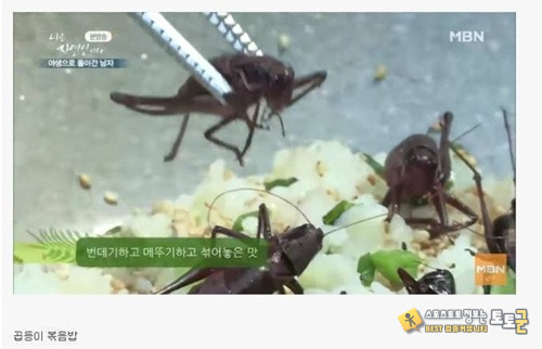 짱돌찌게가 난 너무 웃겼는데 짱돌찌게가 난 너무 웃겼는데