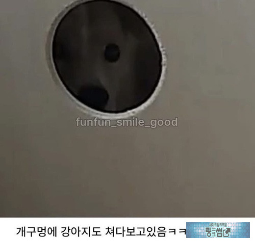 ㅋㅋ 먼가 눈마주친 느낌