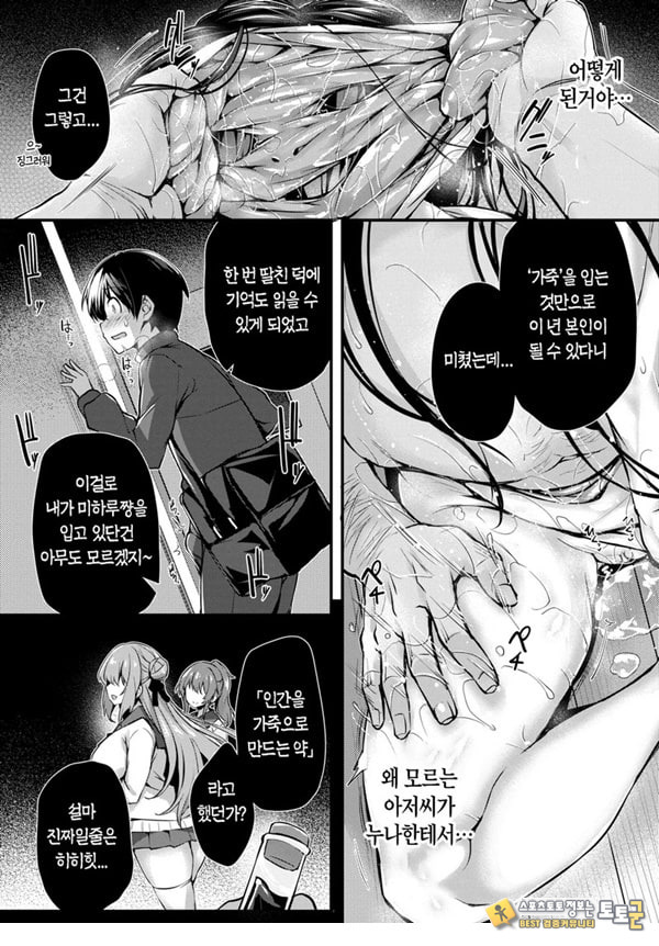 나의 누나 나의 누나