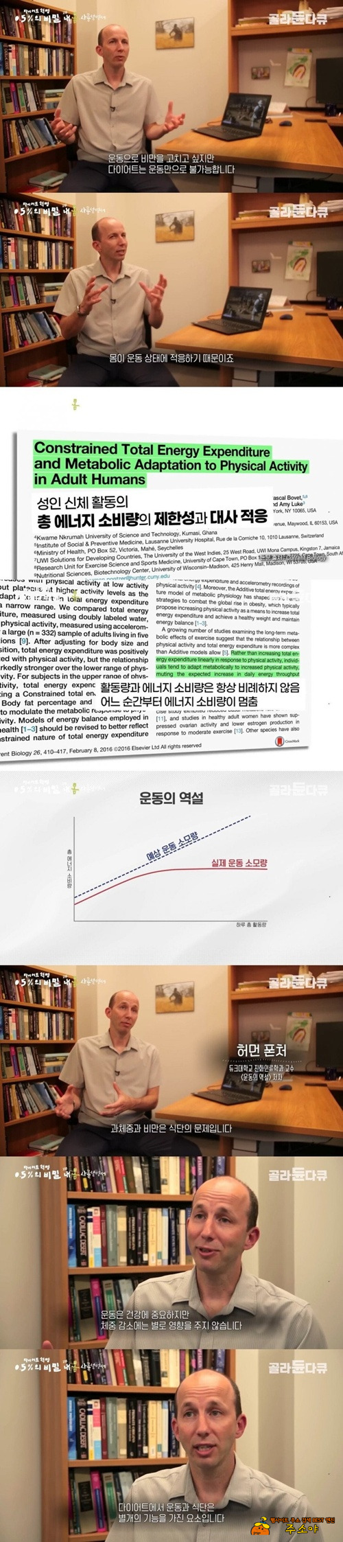 식단이 더 중요하기 때문 식단이 더 중요하기 때문